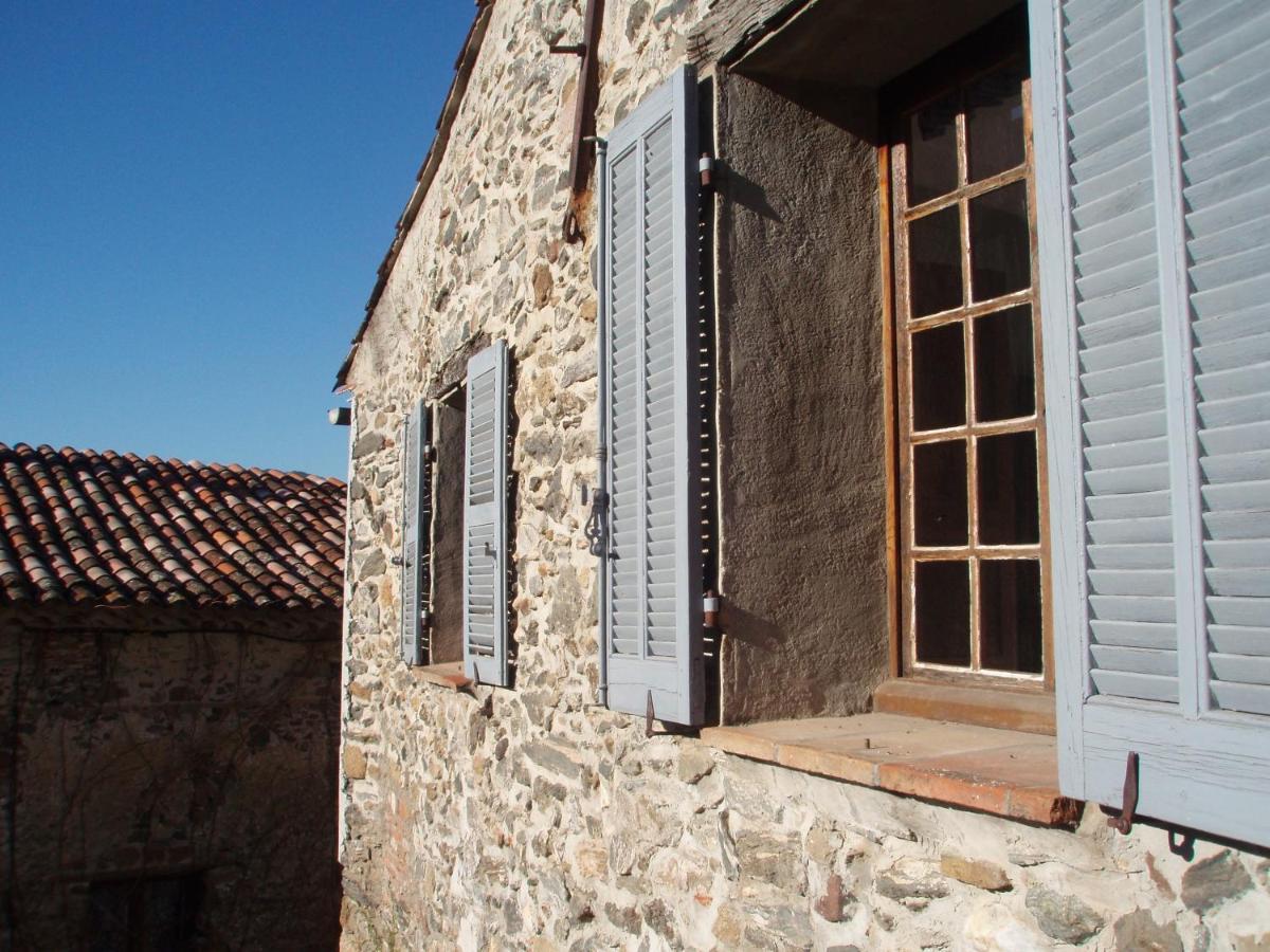 La Provence Authentique A 30 Minutes Des Plages Daire Collobrières Dış mekan fotoğraf