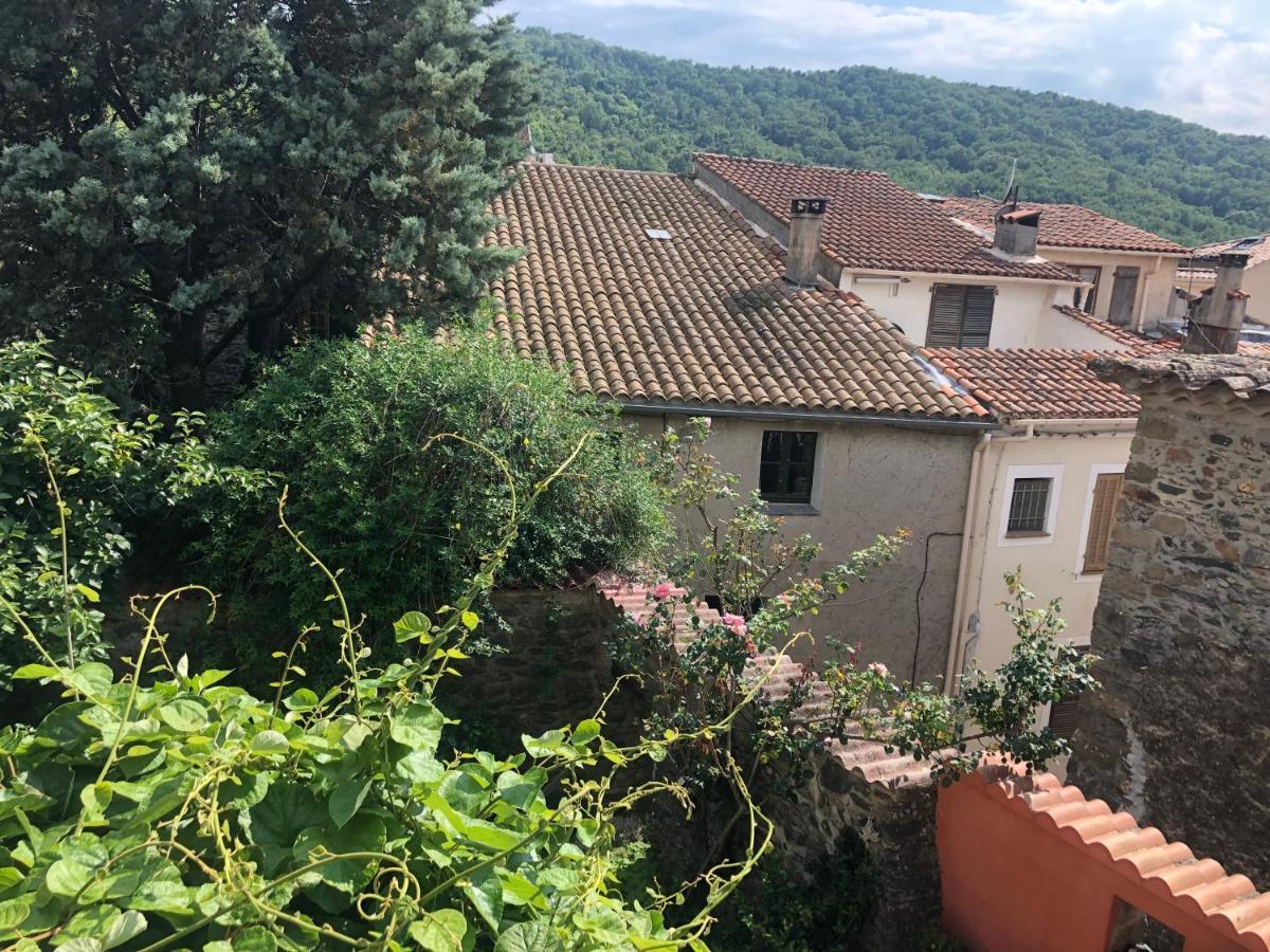 La Provence Authentique A 30 Minutes Des Plages Daire Collobrières Dış mekan fotoğraf