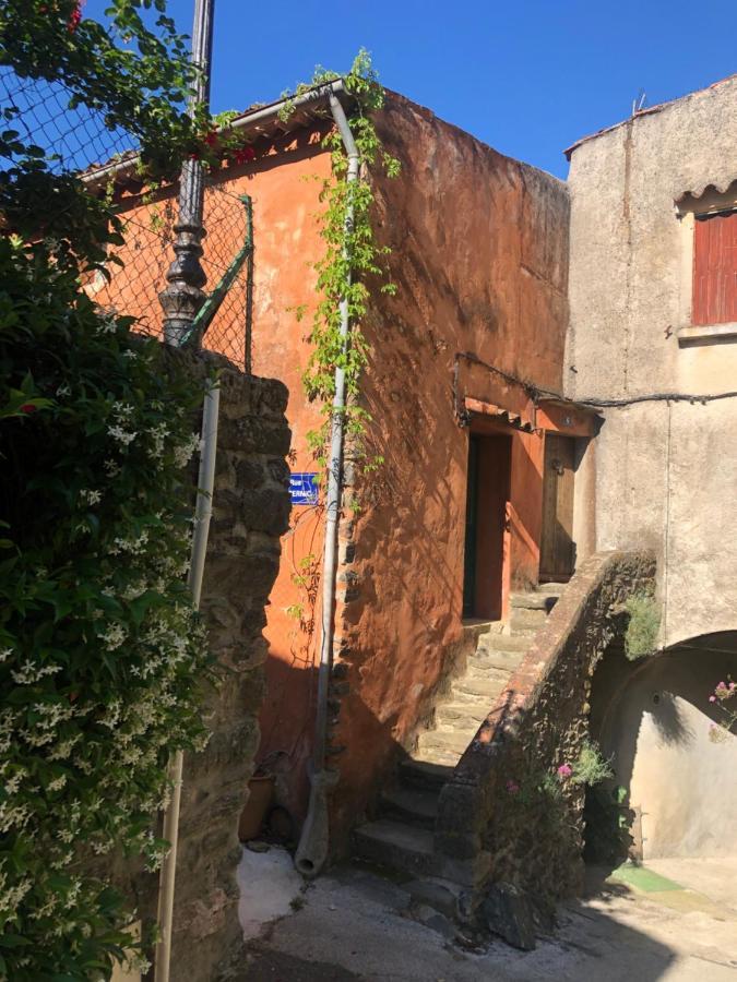 La Provence Authentique A 30 Minutes Des Plages Daire Collobrières Dış mekan fotoğraf