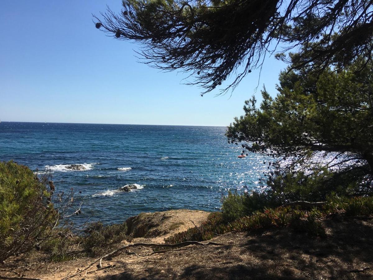 La Provence Authentique A 30 Minutes Des Plages Daire Collobrières Dış mekan fotoğraf