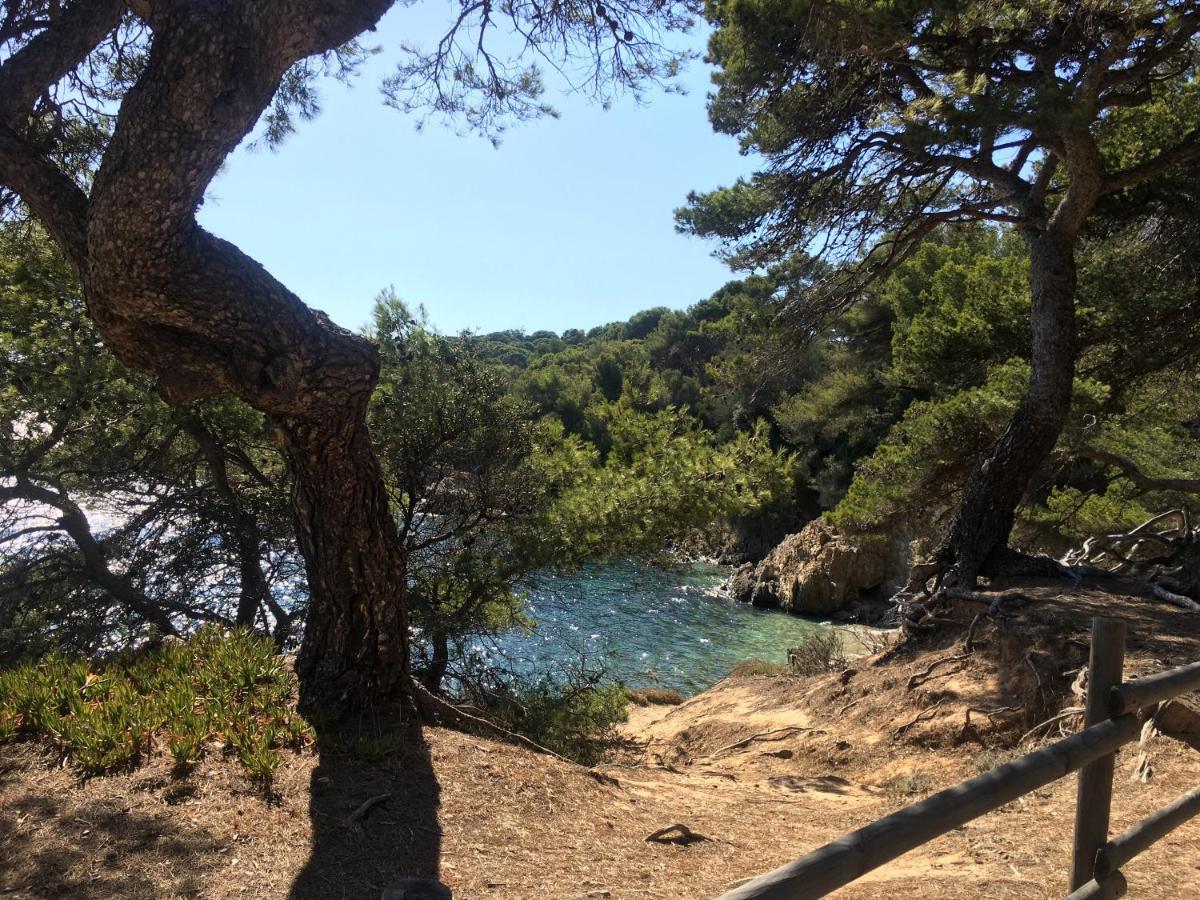 La Provence Authentique A 30 Minutes Des Plages Daire Collobrières Dış mekan fotoğraf